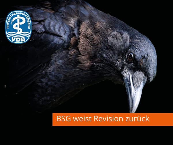 BSG weist Revision der Berufsverbände zurück